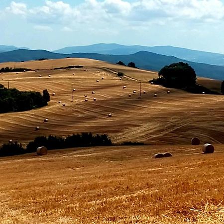 La Pecora Verde San Gimignano Exteriör bild